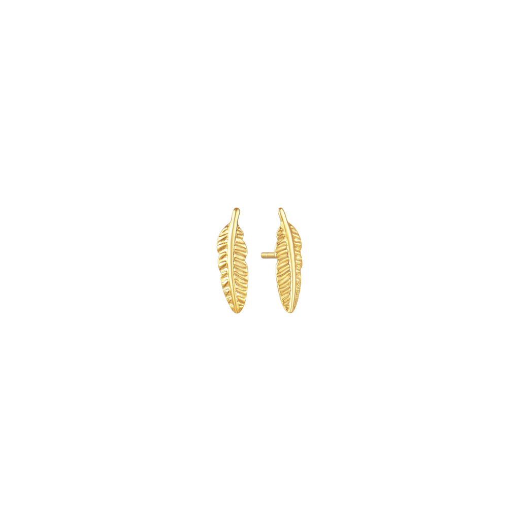 Goldene Ohrringe