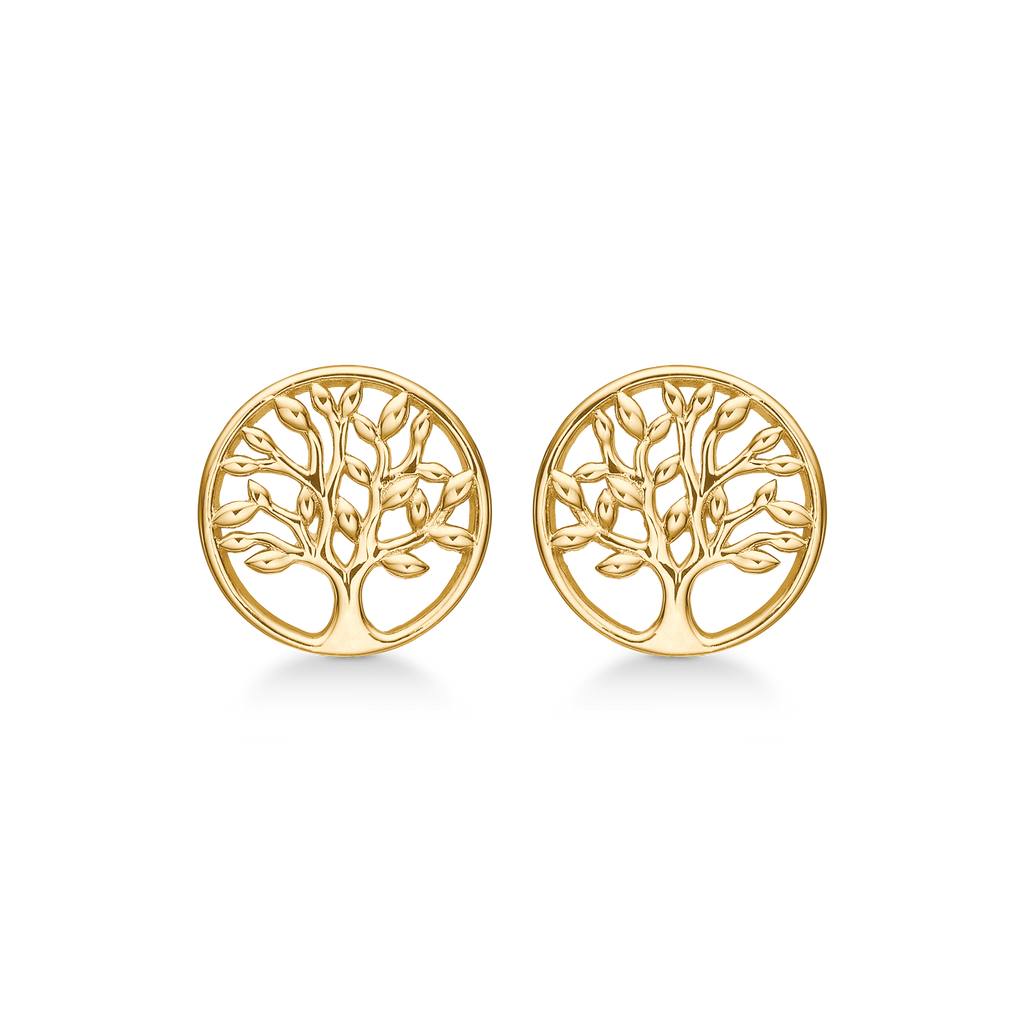 Ørestikker Livets Træ